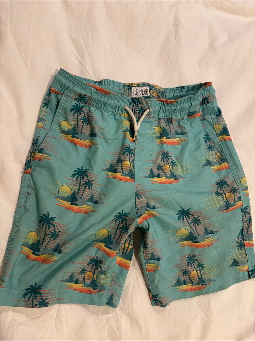 Teal Palm-Print Boys Swim Shorts